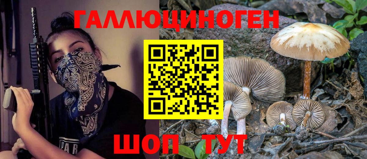 Галлюциногенные грибы Psilocybine cubensis Владикавказ