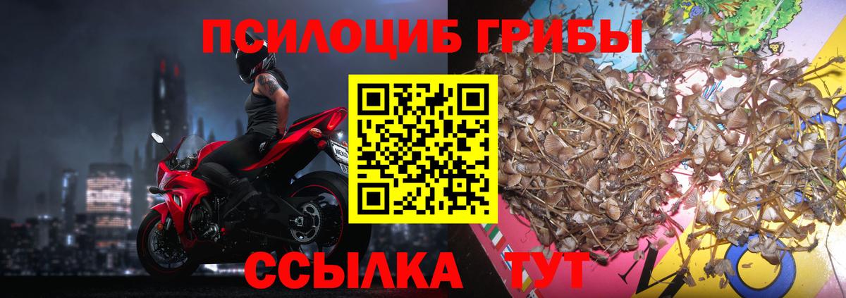 Галлюциногенные грибы Cubensis  Галлюциногенные грибы ЛСД  Владикавказ  Вход с VPN 